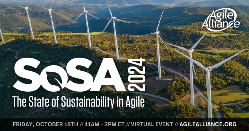 State of Sustainability in Agile 2024